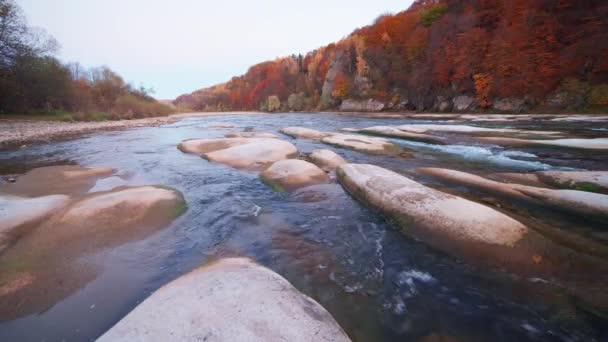 Slider τηγάνι βίντεο σε πραγματικό χρόνο, ποτάμια ορμητικά με δάση φθινόπωρο στις όχθες — Αρχείο Βίντεο