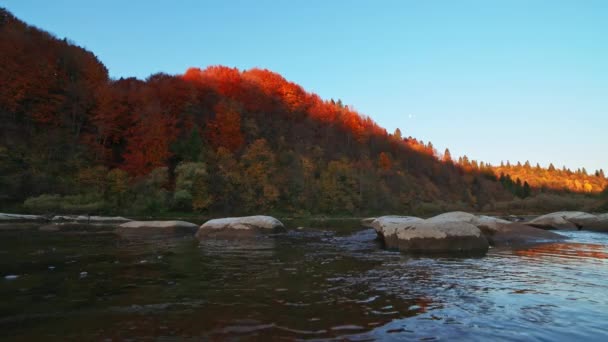 슬라이더 팬 슬로우 모션 비디오, 강둑에 가을 숲 이 있는 강 급류 — 비디오