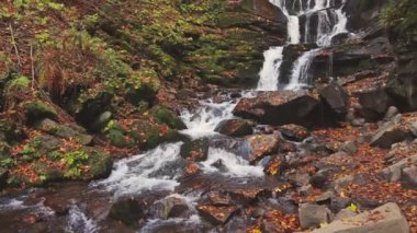 Şelale sonbahar ormanında dağ yamacından aşağı düşüyor.