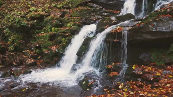 Vízesés leesik a hegyoldalról őszi erdőben — Stock videók