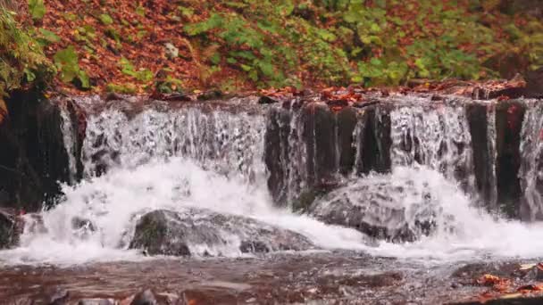 Prachtige waterval Shipot close-up in het najaarsbos — Stockvideo