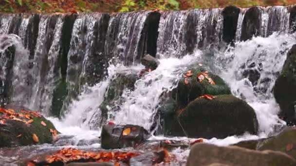 Grote rotsblokken begroeid met mos bij de waterval — Stockvideo