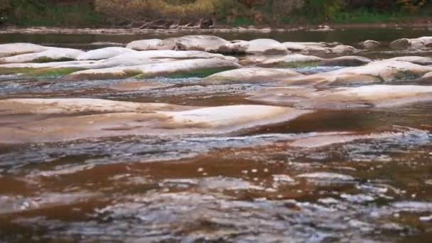 슬라이더 팬 슬로우 모션 비디오, 강둑에 가을 숲 이 있는 강 급류 — 비디오
