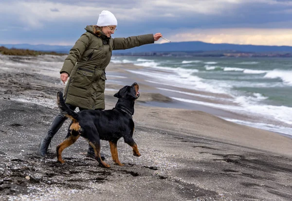在寒冷多云的天气里 穿着保暖衣服的快乐的成年女主人和她那只名叫罗特韦勒的大狗在沙滩上玩耍 — 图库照片