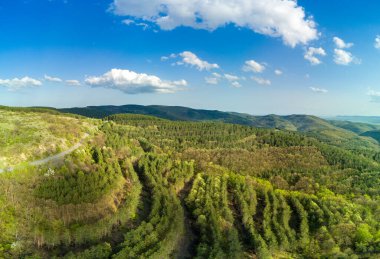 Bulgaristan 'da parlak bulutlu sıcak bir günün ışığı altında, Balkan Dağları' nın yeşil çayırları ve ormanlık yamaçları kuş bakışı manzara manzarası
