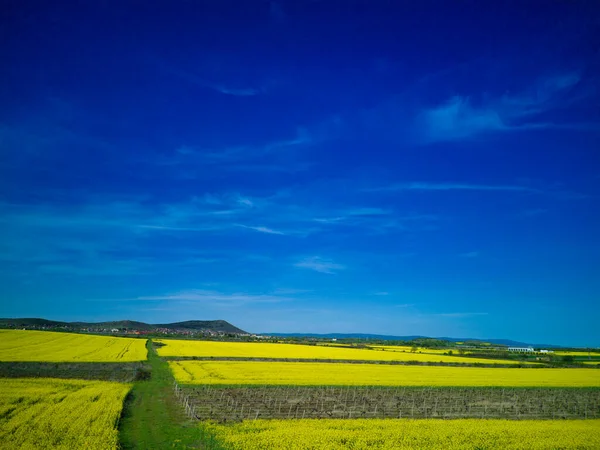 小さな空の古い村と曇った青空 ブルガリアの暖かい南部の国を背景に 山と草原の谷に黄色の春の小さな植物と明るい大規模な開花フィールド — ストック写真