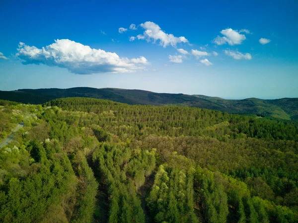 Vogelperspektive Auf Den Frühling Blühende Grüne Wiesen Und Bewaldete Hügel — Stockfoto