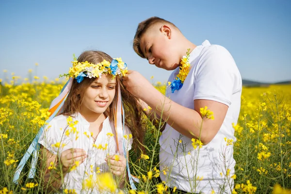 Önemseyen ağabeyi, parlak Ukrayna çiçek çelenkleriyle çok renkli ince kurdeleler örüyor. Küçük, gülümseyen kız kardeşin başında. Açık mavi gökyüzünün altında bitmeyen kolza tohumu tarlasında.