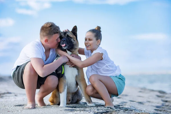 Neşeli dost canlısı, rahat elbiseli kız ve erkek kardeşler Akita Inu cinsinin tüylü büyük köpeklerine sarılıp öperler. Yazın güneşli havalarda Karadeniz kıyısındaki kumlu vahşi sahil boyunca.
