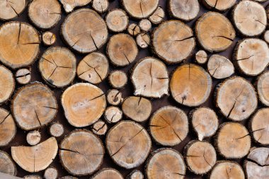 Yuvarlak ahşap kesiklerin arka planında farklı doğal doku kahverengi desenler var.