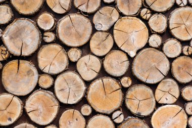 Yuvarlak ahşap kesiklerin arka planında farklı doğal doku kahverengi desenler var.