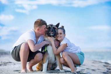 Neşeli, dost canlısı, aydınlık elbiseli kız ve erkek kardeşler Akita Inu cinsinden büyük tüylü köpekleri ile güneşli yaz havasında Karadeniz kıyısında kumlu ve vahşi bir sahil boyunca yürüyorlar.