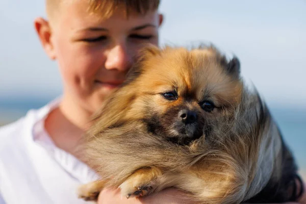 A cheerful happy kind teenage guy in a white T-shirt with light brown hair holds in his arms a small fluffy golden-haired dog of the Pomeranian breed, against the backdrop of a bright sunny blue sky