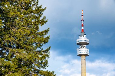 Snezhana 'nın dağlık tepesindeki yüksek turist gözlem kulesi Rodop dağları ve tepelerindeki yeşil ladin yoğun ormanlarıyla kaplıydı.