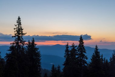Rodop Dağları 'nın dağlık bitkisel yamaçlarında, dikenli köknar ağaçlarının koyu yoğun uzun siluetleri, parlak günbatımının arka planında, çok renkli akşam gökyüzünün