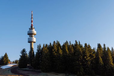 Snezhana 'nın dağlık tepesindeki yüksek turist gözlem kulesi Rodop dağları ve tepelerindeki yeşil ladin yoğun ormanlarıyla kaplıydı.