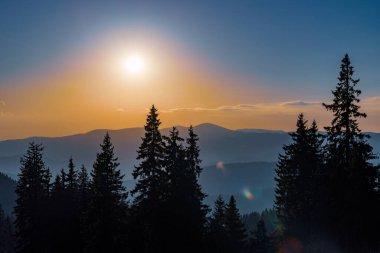 Rodop Dağları 'nın dağlık bitkisel yamaçlarında, dikenli köknar ağaçlarının koyu yoğun uzun siluetleri, parlak günbatımının arka planında, çok renkli akşam gökyüzünün