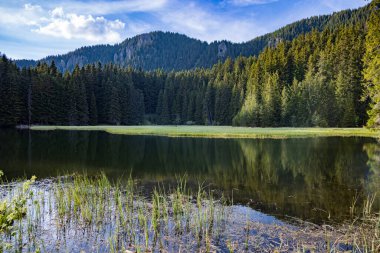 Küçük mavi bir yansıyan göl ve berrak bir dağ serin suyu. Kaya gibi sığ, yabani kıyıları olan, kozalaklı ormanlarda, uzun, tüylü, dikenli köknar ağaçları olan, soluk mavi, bulutlu bir gökyüzüne karşı.