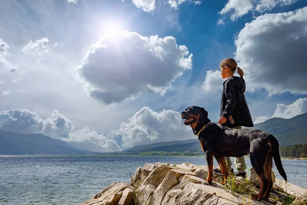 Niña Está Cerca Gran Perro Amigo Raza Rottweiler Costa Rocosa —  Fotos de Stock