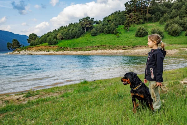 Niña Con Correa Las Manos Encuentra Cerca Gran Perro Raza —  Fotos de Stock