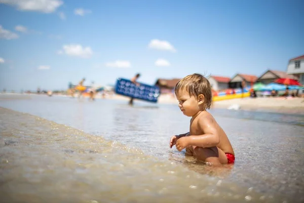 Pequeño Niño Divertido Recoge Conchas Guijarros Tranquilo Mar Azul Fondo —  Fotos de Stock