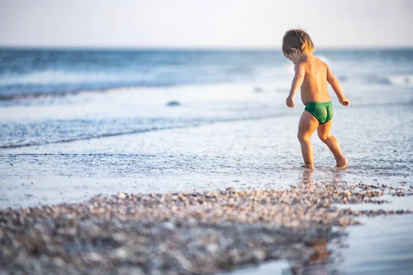 少し面白い子供 明るい休暇に暑い夏の太陽の下で砂の底に穏やかな青い海のシェルと小石を収集します — ストック写真