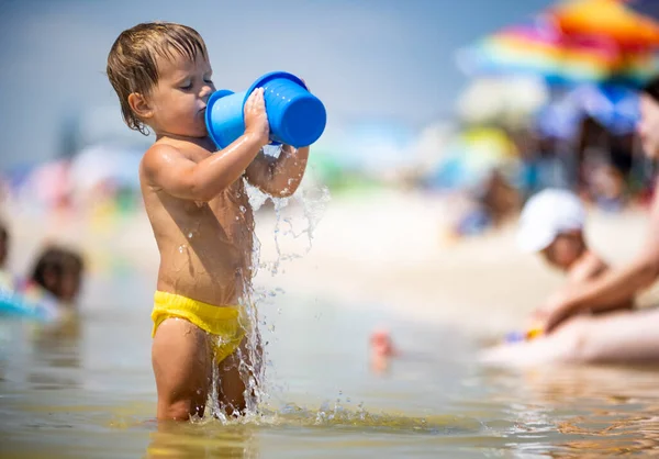 Маленький Забавный Малыш Собирает Раковины Гальку Спокойном Синем Море Песчаном — стоковое фото
