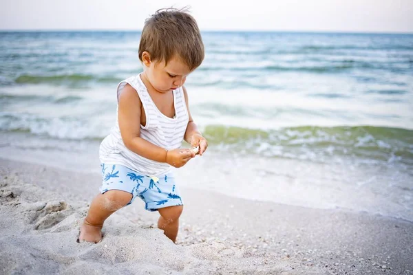 縞模様の灰色の白いTシャツの小さなかわいい陽気な子供は 暖かい晴れた夏の夜にアゾフ海岸で 砂の中の湿った小石や貝殻を探して収集します — ストック写真