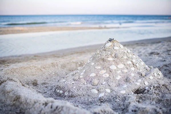 Beautiful Small Neat Sand Castle Stands Large Sea Sandy Beach — Stock Photo, Image