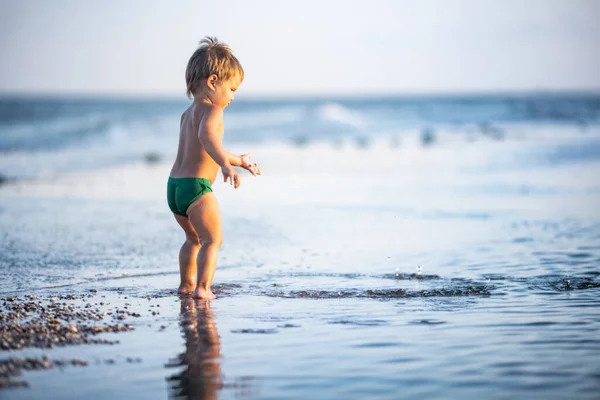 Kleines Lustiges Kind Sammelt Muscheln Und Kieselsteine Ruhigen Blauen Meer — Stockfoto