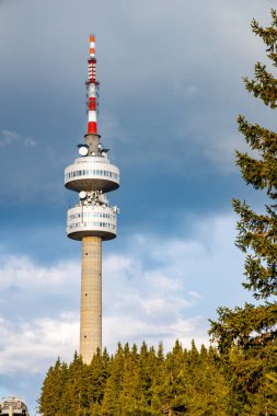 Snezhana 'nın dağlık tepesindeki yüksek turist gözlem kulesi Rodop dağları ve tepelerindeki yeşil ladin yoğun ormanlarıyla kaplıydı.