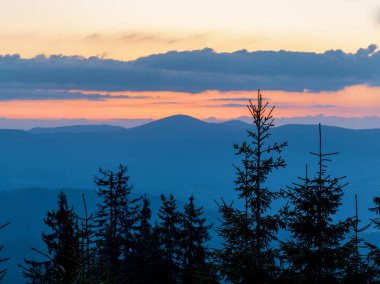 Rodop Dağları 'nın dağlık bitkisel yamaçlarında, dikenli köknar ağaçlarının koyu yoğun uzun siluetleri, parlak günbatımının arka planında, çok renkli akşam gökyüzünün