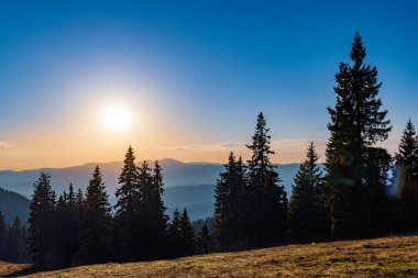 Rodop Dağları 'nın dağlık bitkisel yamaçlarında, dikenli köknar ağaçlarının koyu yoğun uzun siluetleri, parlak günbatımının arka planında, çok renkli akşam gökyüzünün