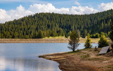 Küçük mavi bir yansıyan göl ve berrak bir dağ serin suyu. Kaya gibi sığ, yabani kıyıları olan, kozalaklı ormanlarda, uzun, tüylü, dikenli köknar ağaçları olan, soluk mavi, bulutlu bir gökyüzüne karşı.