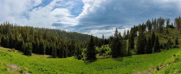 Panorama Prado Verde Brilhante Coberto Com Vegetação Montanha Uma Encosta — Fotografia de Stock