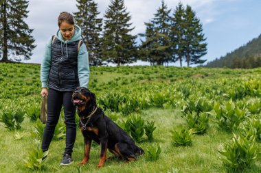 Takım elbiseli neşeli genç kız, uzun köknar ağaçları ve bulutlu gökyüzünün arka planında Rottweiler 'ın köpek arkadaşının yanında tasmasıyla dağ bitkileriyle yeşil çayırlarda ürer.