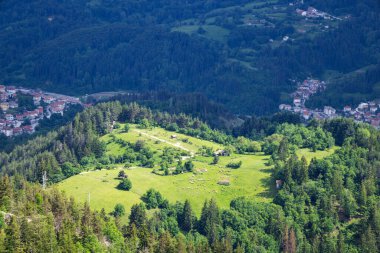 Dağ bitkileri ve ladin ile korunan yeşil bahar dağı vadisi. Smolyan 'da küçük ve eski bir sığır köyü olan karanlık sık ormanlar. Aç koyunların otladığı yeşil otlaklar.