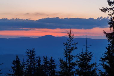 Rodop Dağları 'nın dağlık bitkisel yamaçlarında, dikenli köknar ağaçlarının koyu yoğun uzun siluetleri, parlak günbatımının arka planında, çok renkli akşam gökyüzünün