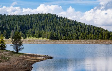 Küçük mavi bir yansıyan göl ve berrak bir dağ serin suyu. Kaya gibi sığ, yabani kıyıları olan, kozalaklı ormanlarda, uzun, tüylü, dikenli köknar ağaçları olan, soluk mavi, bulutlu bir gökyüzüne karşı.
