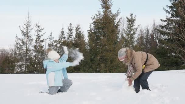 Seitenansicht Von Zwei Weiblichen Kindern Warmen Mänteln Die Schneebälle Machen — Stockvideo
