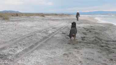 Ceketli enerjik neşeli genç kız mavi deniz kenarındaki kumlu sahilde sevgili sadık arkadaşı Rottweiler cinsinin büyük mutlu köpeği 4K UHD yavaş çekim videosu