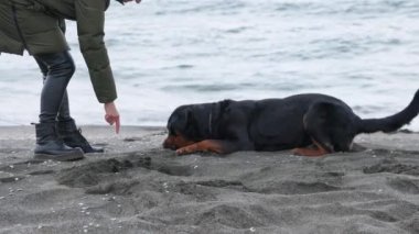 Neşeli, komik, büyük bir köpek taklalar atıyor ve kumlu bir sahilde beyaz dalgalar ve genç metresi 4K UHD yavaş çekim videosu ile aylaklık ediyor.