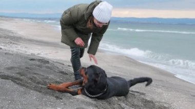 Neşeli, komik, büyük köpek taklalar atıyor ve kumlu bir sahilde beyaz dalgalar ve genç metresiyle taklalar atıyor. 4K UHD yavaş çekim videosu