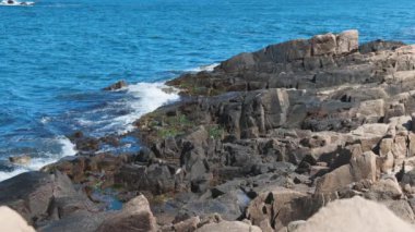 Bulgaristan 'ın parlak güneşli günbatımı ışığı altında, Karadeniz' in yansıtıcı ilkbaharı yakınlarında, koyu nemli deniz kumları ve büyük ıslak kayalık kayalıkları olan vahşi bir taş ve kumlu bir sahil. 4K UHD yavaş çekim videosu