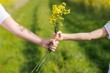 Küçük, parlak sarı bukete yakın, tarlada yabani küçük kolza tohumu çiçekleri bilinmeyen genç çocukların ellerinde, sonsuz tarlaların ve ılık yaz güneşi altında yeşil çayırların üzerinde
