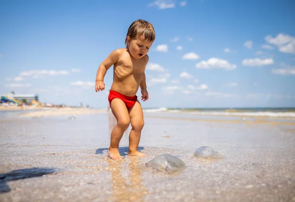 Little Scared Curious Boy Examines Translucent Dead Dangerous Poisonous Jellyfish — Foto Stock