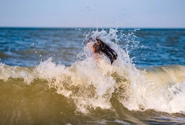 İki güzel bronzlaşmış uzun saçlı neşeli kız kardeş, parlak yaz mayo giyip, sıcak güneşli bir tatil akşamında, küçük deniz kabuklarıyla kumlu bir sürüde mavi köpüklü deniz dalgalarına atlarlar.