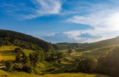 Dar bir otomobil asfaltlı yollar ve alçak tepeler arasında yol geçişleri ladin ormanları ve çayır otlarla kaplı, güneşli bir akşamın arka planında bulutlu bir gökyüzü