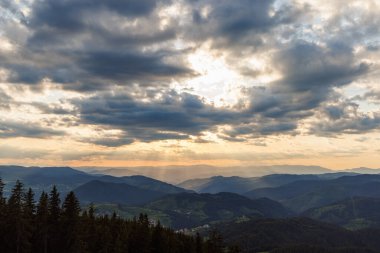 Alçak tepeler üzerinde soğuk bulutlu yağmurlu hava Rodop Dağları 'ndaki ladin ormanlarıyla kaplı kara fırtınalı güneşsiz gökyüzü ve dağ sıraları arasındaki gizemli, kalın beyaz sis.