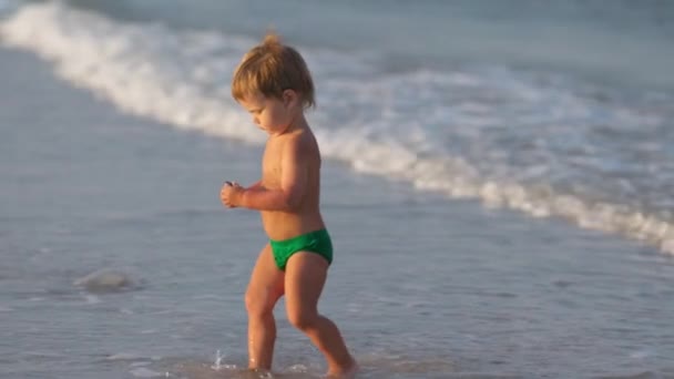 친절하고 아름답고 어머니가 아들을 데리고 아름다운 해변을 옵니다 조가비와 모으고 — 비디오